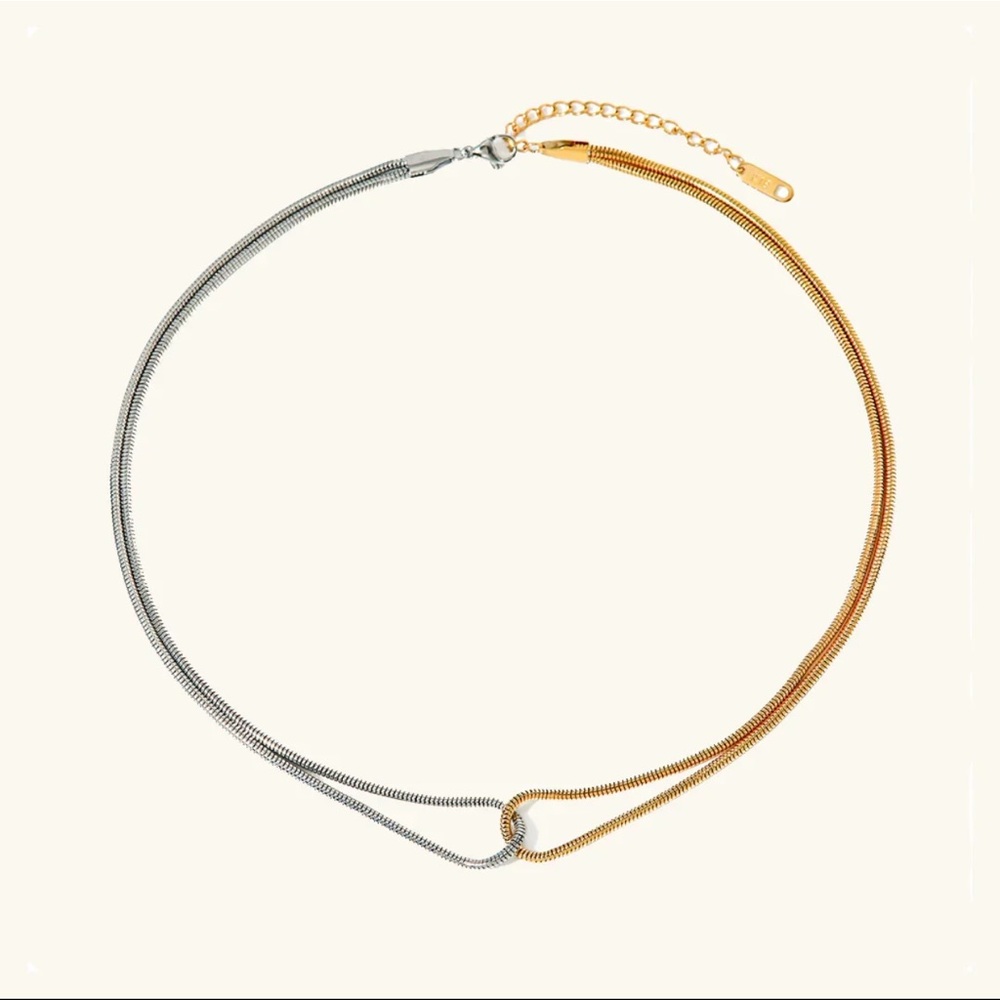 NWT Avaria Talia Two Tone Necklace